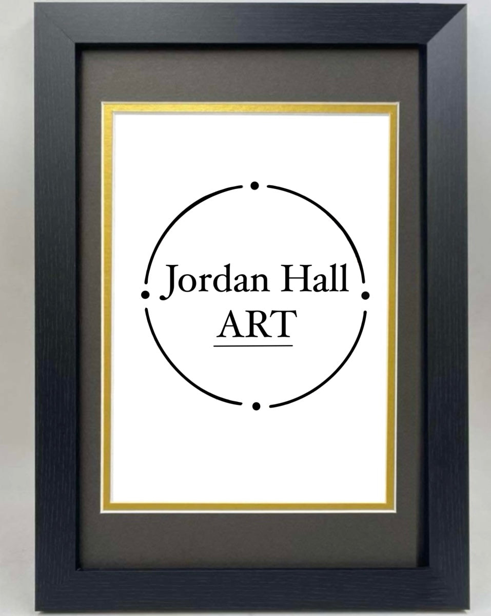 A1 frame & mount