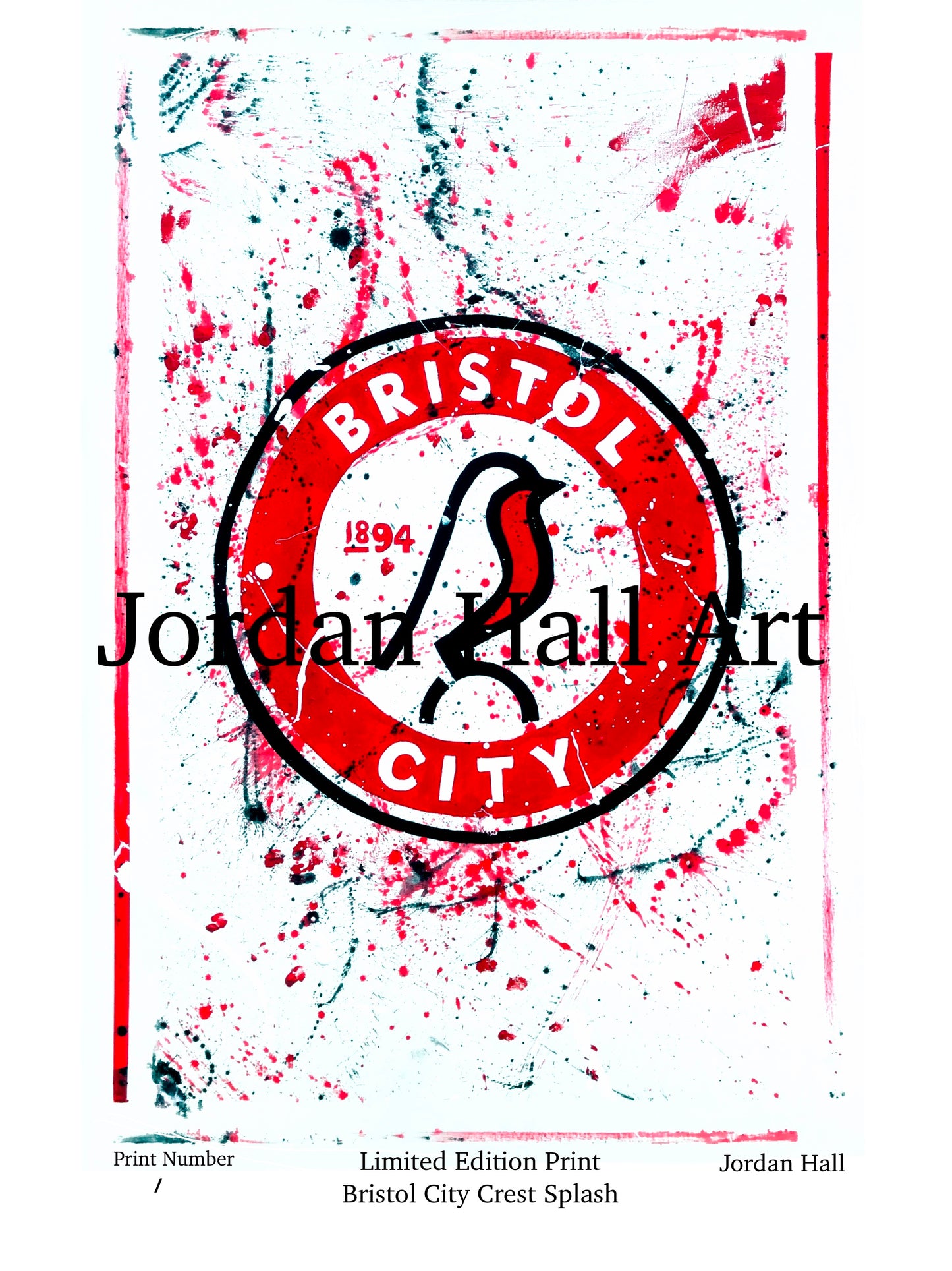 Bristol City Crest Splash