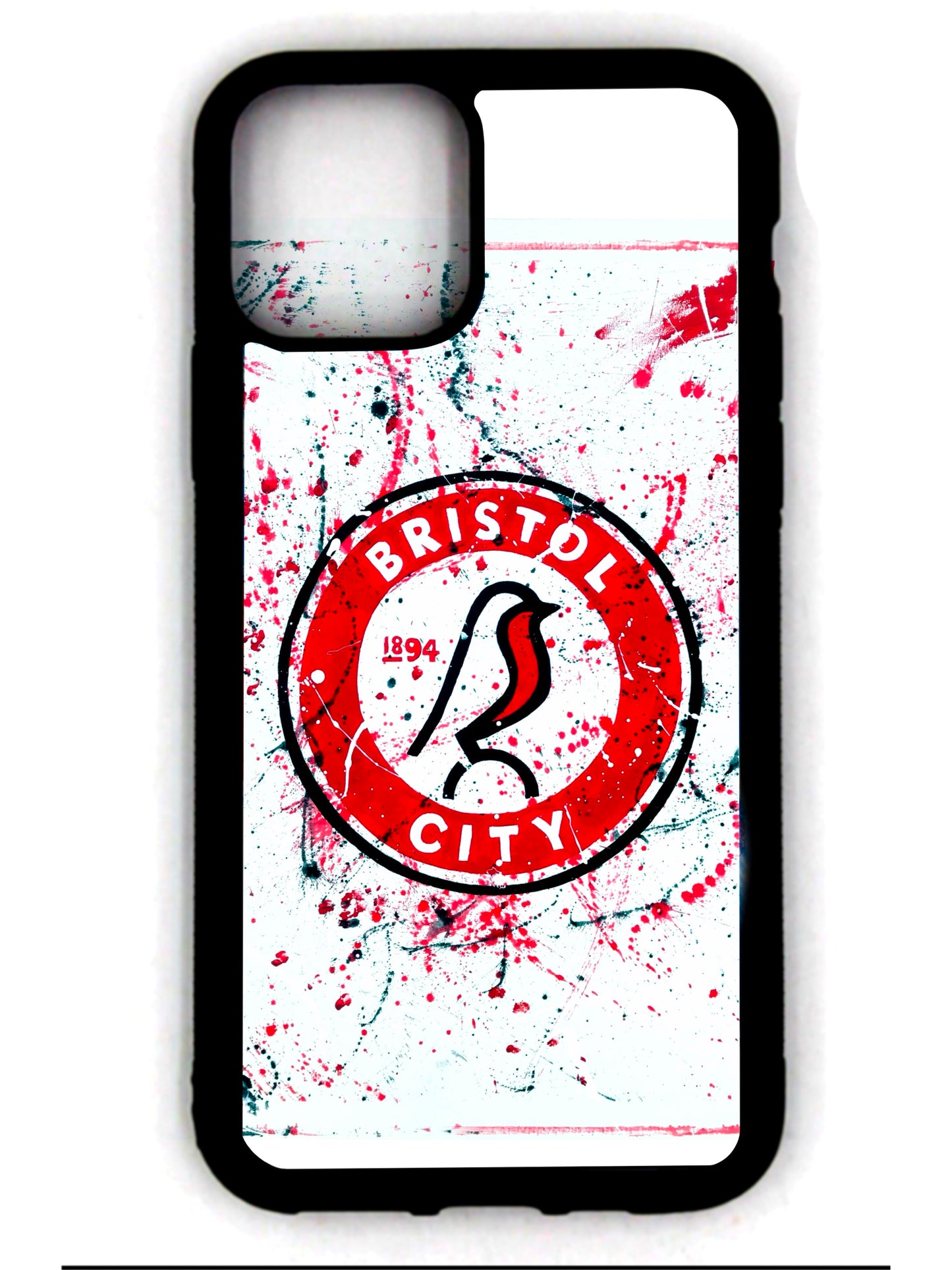 Bristol city fc