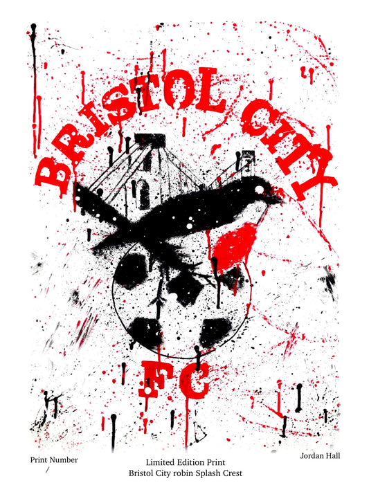 Bristol city robin