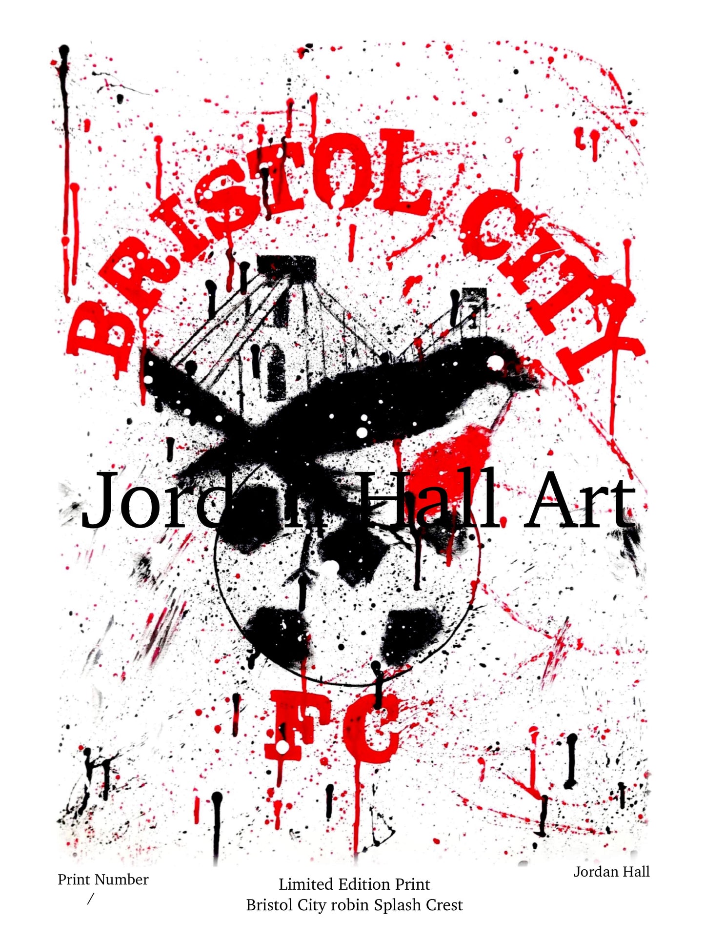 Bristol city robin