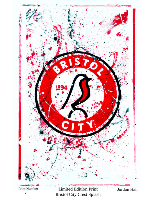 Bristol City Crest Splash