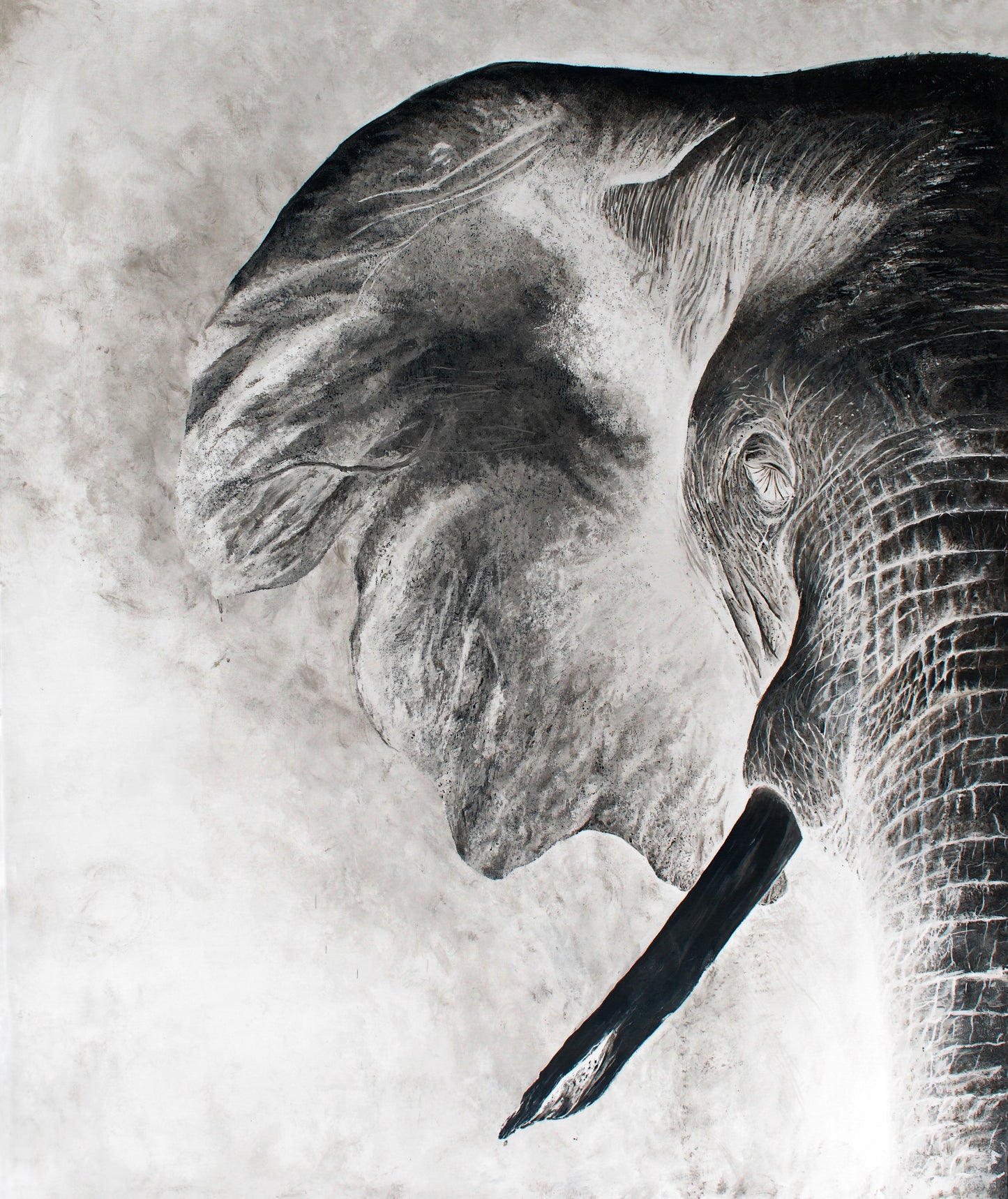 Elephant Negative