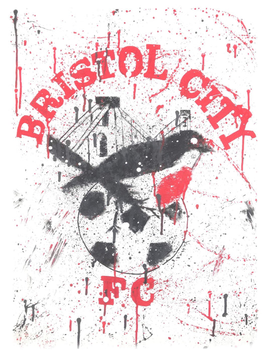 Bristol city robin